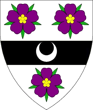File:Muirghein MacKay Device.jpg