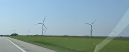 File:Sky Flowers.jpg