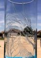 Yzabel - Glass 5.jpg